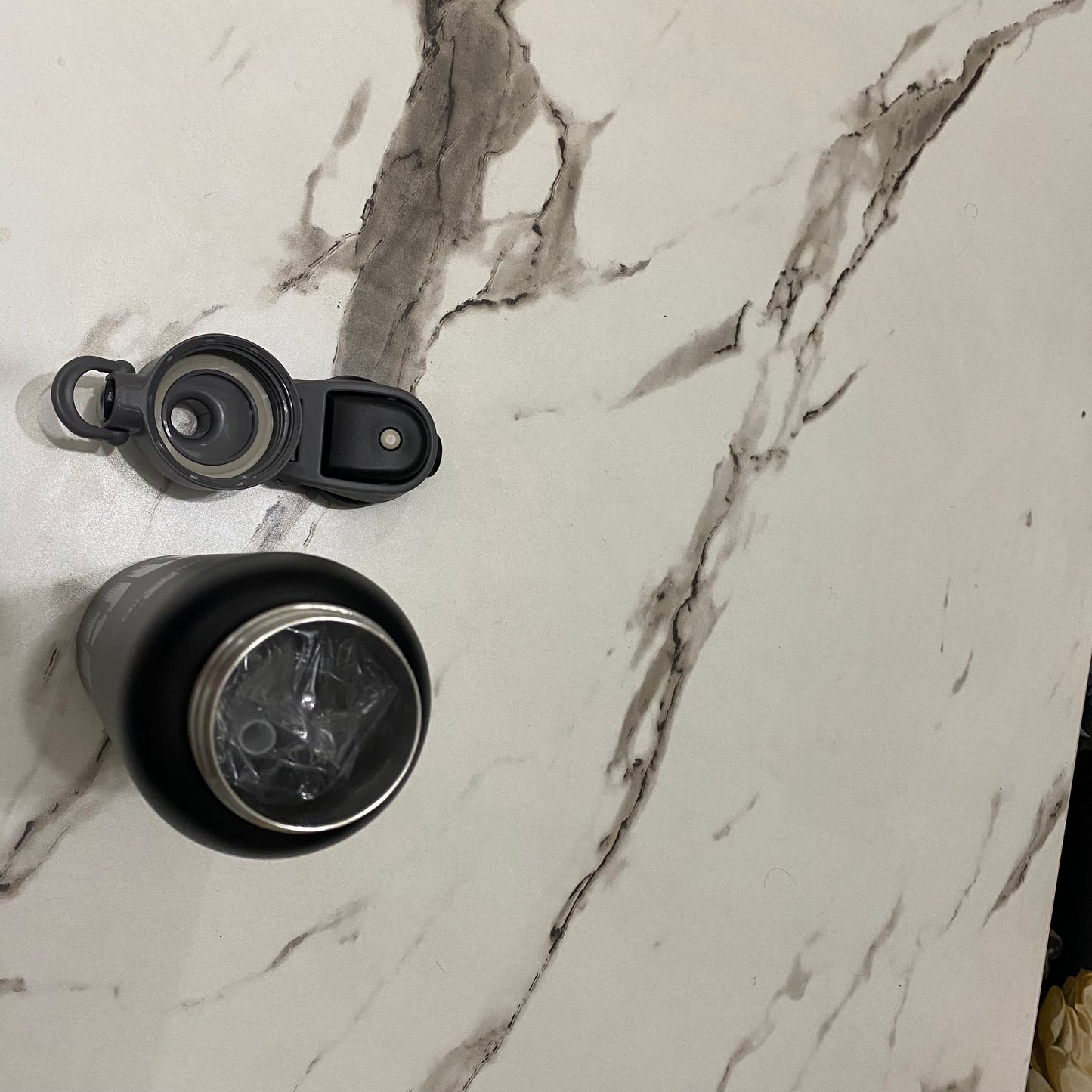 Penguin Insulated Water Bottle