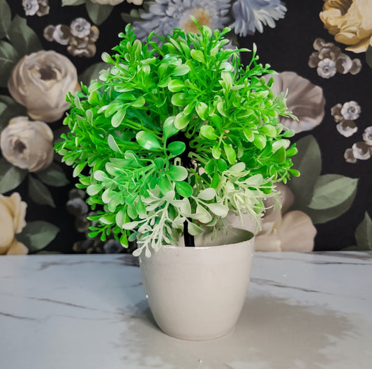 2 pieces of  Miniature Tree planter (green shade)